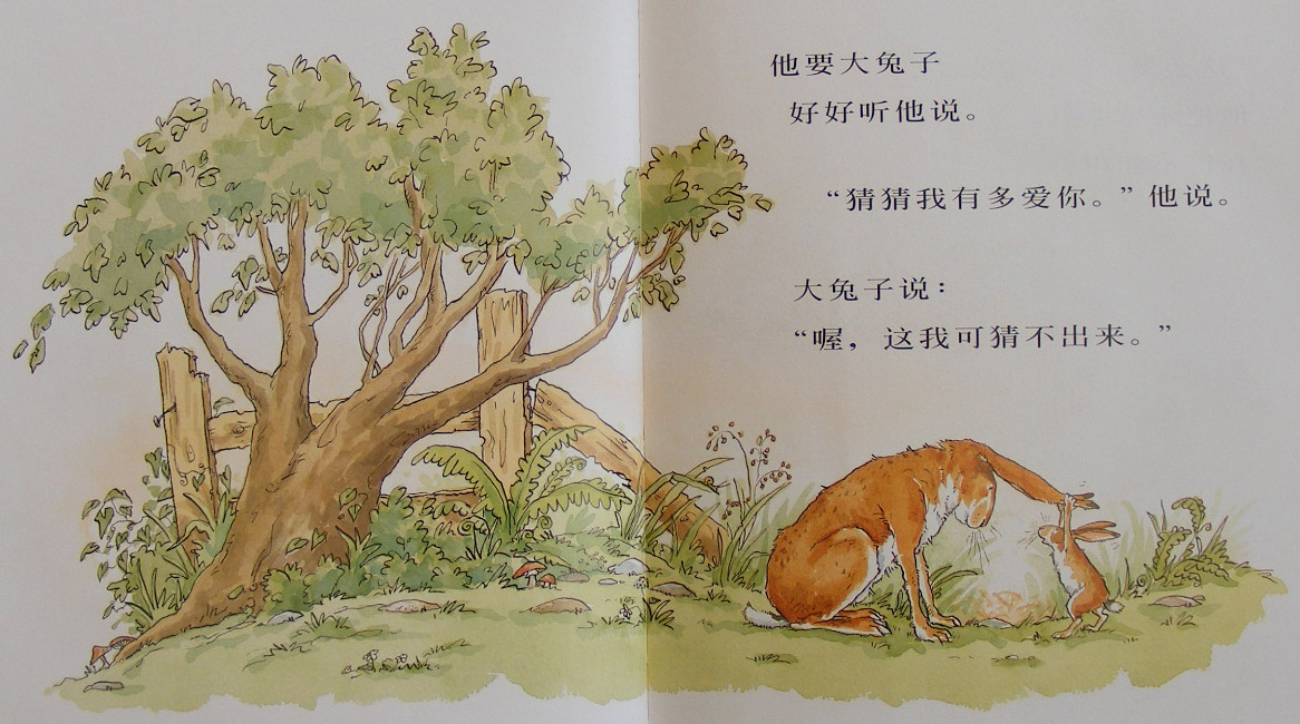猜猜我有多爱你 (04),绘本,绘本故事,绘本阅读,故事书,童书,图画书,课外阅读